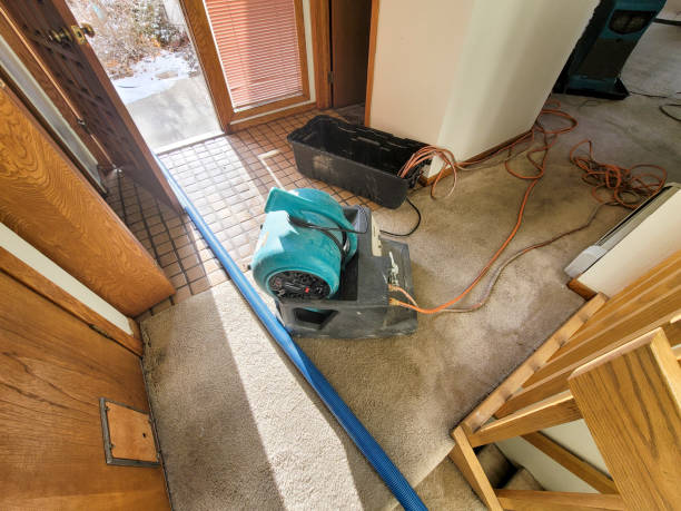 Best Water damage restoration process  in USA